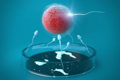 案例